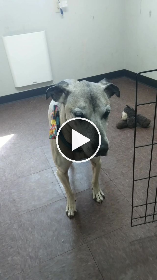 video — Apr 1 2023