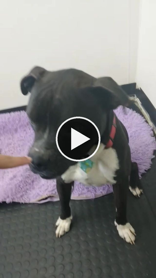 video — Apr 5–7 2023