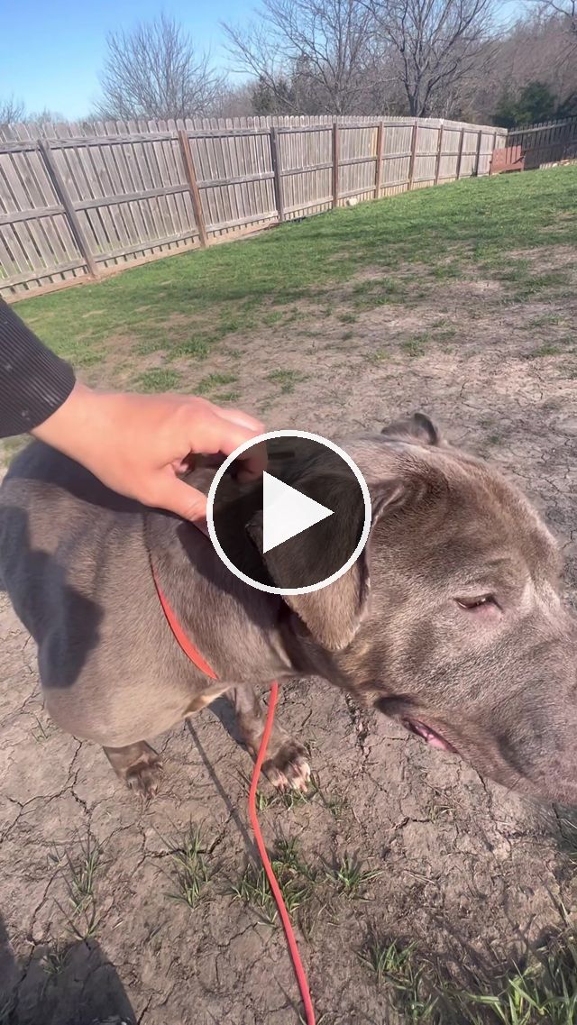 video — Apr 13 2023