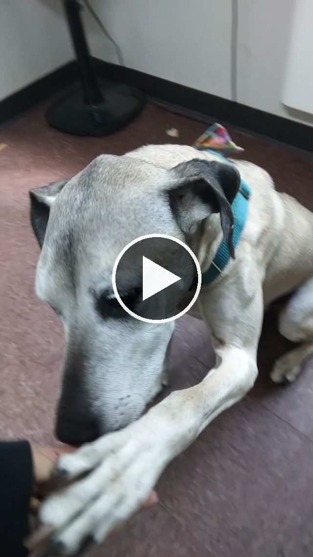 video — Apr 20–23 2023