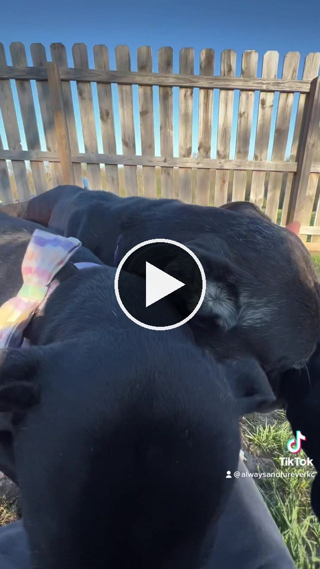 video — Apr 29 2023
