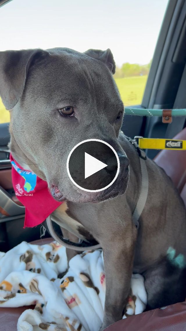 video — Apr 29 2023