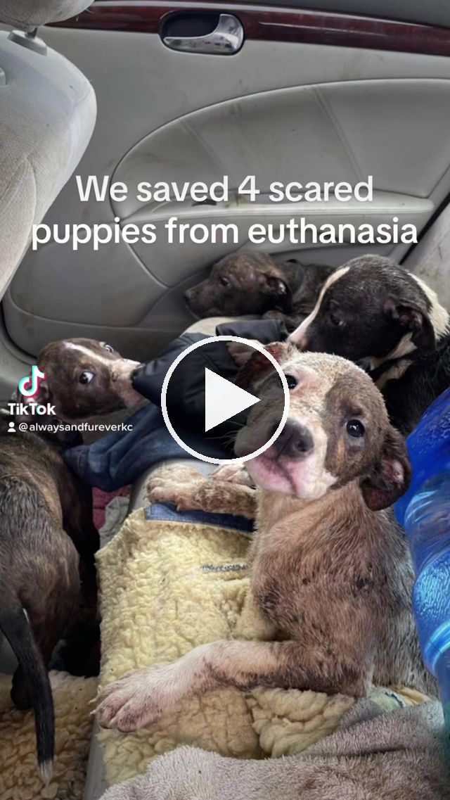 video — May 25 2023