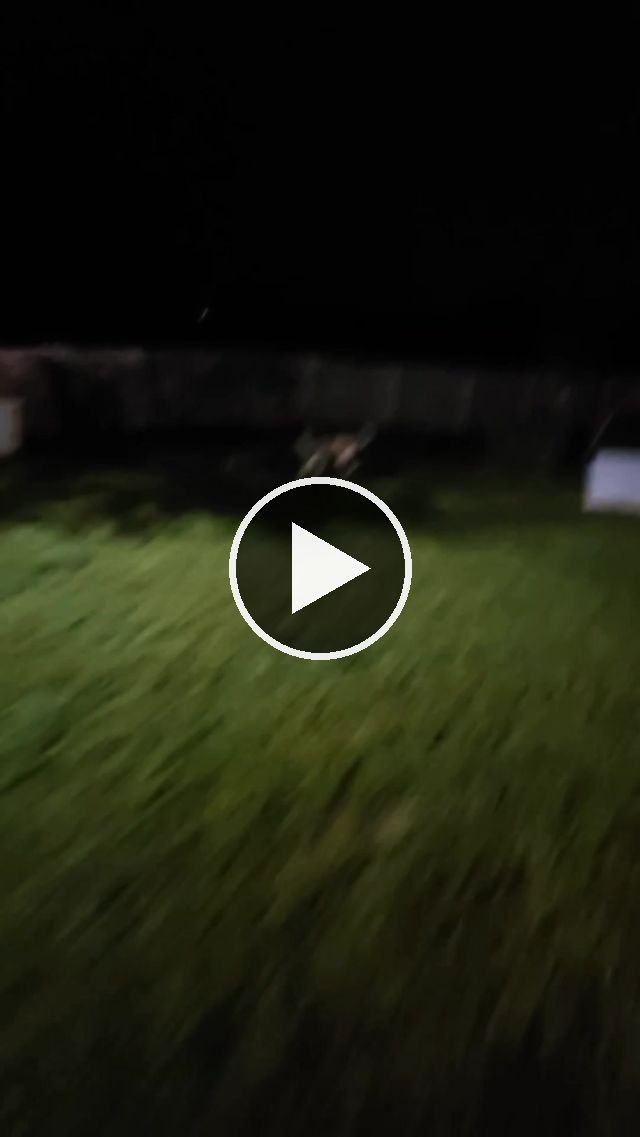 video — Jun 15–17 2023