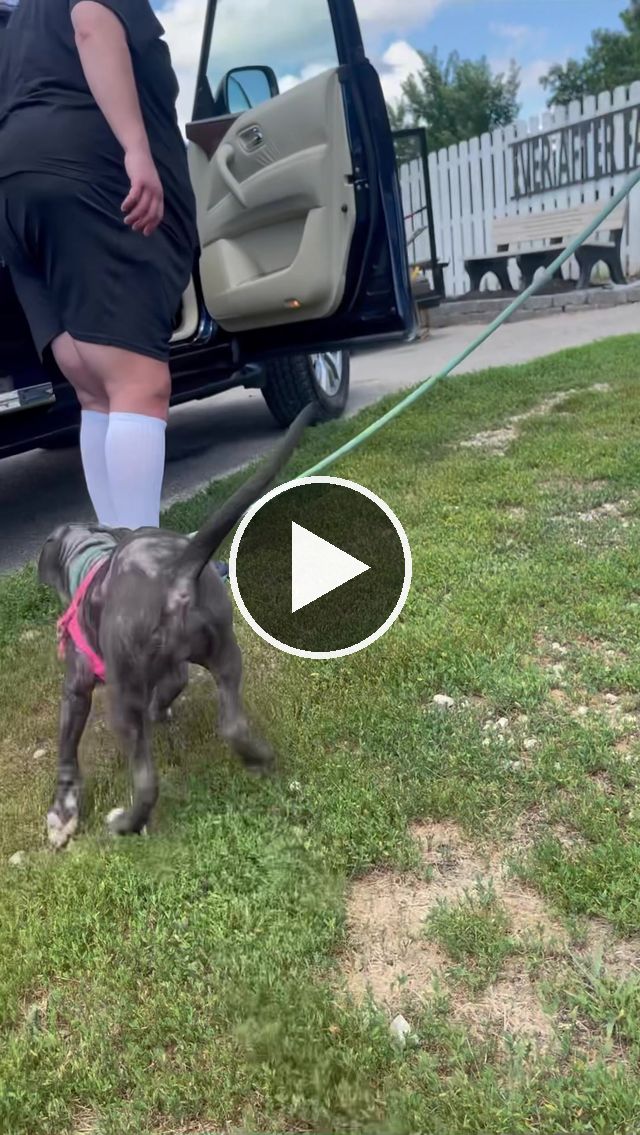 video — Jul 1 2023