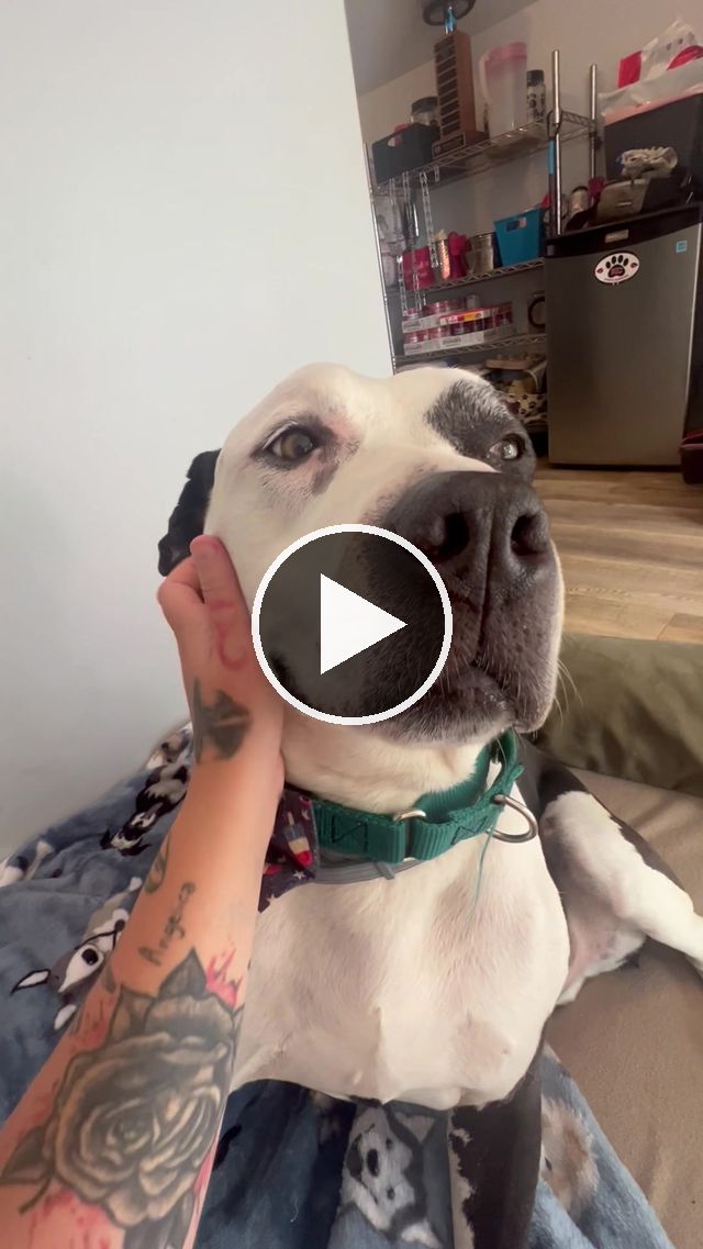 video — Jul 14 2023