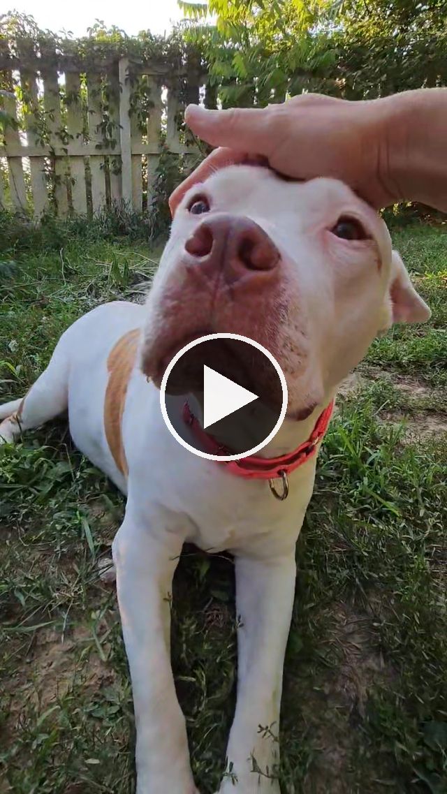 video — Jul 22 2023