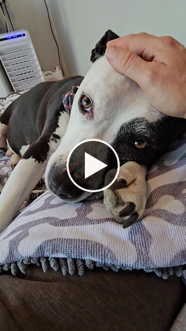video — Aug 17 2023