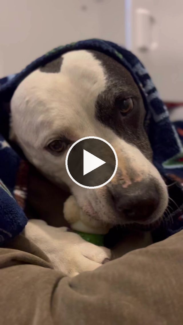 video — Sep 22 2023