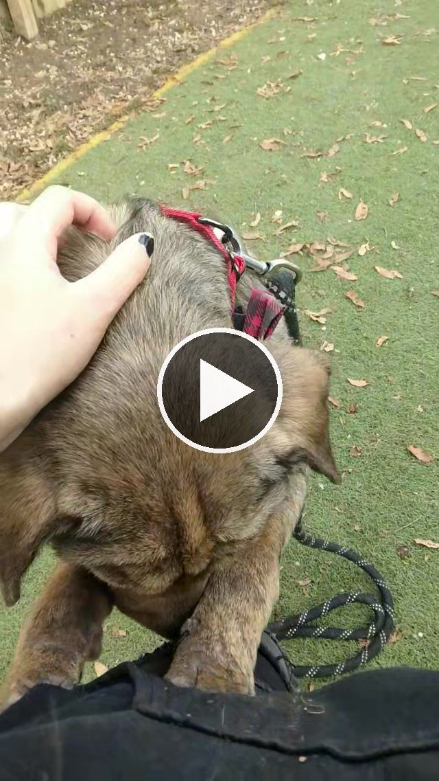 video — Dec 3 2023