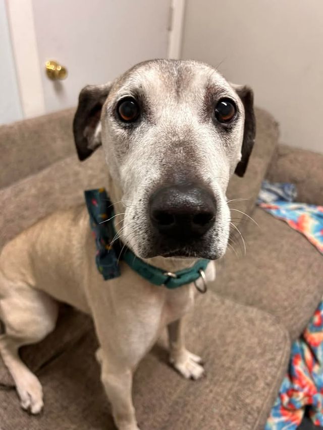 Buck — Dec 20 2023