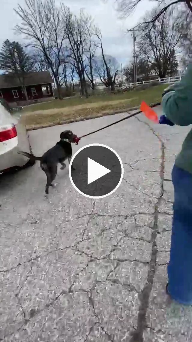video — Dec 26–31 2023