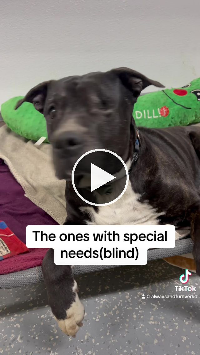 video — Mar 10 2024