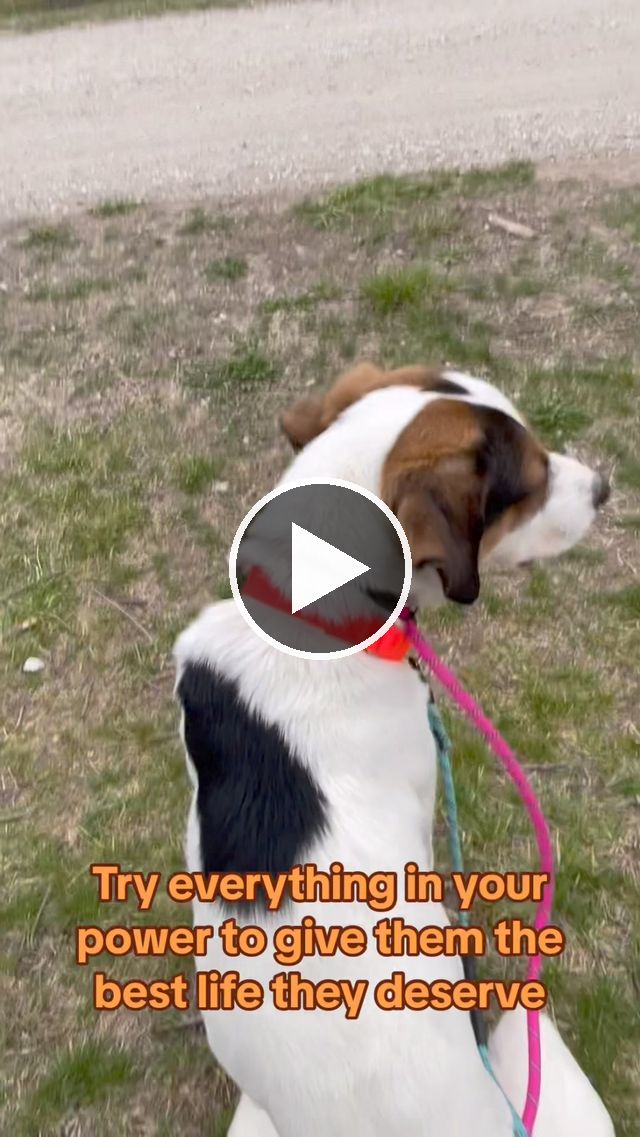 video — Mar 26 2024
