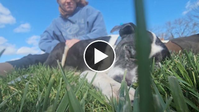 video — Apr 3 2024