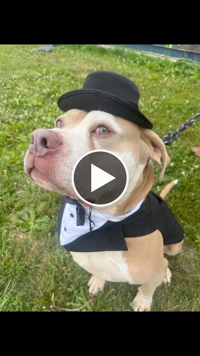 video — Jun 20 2024