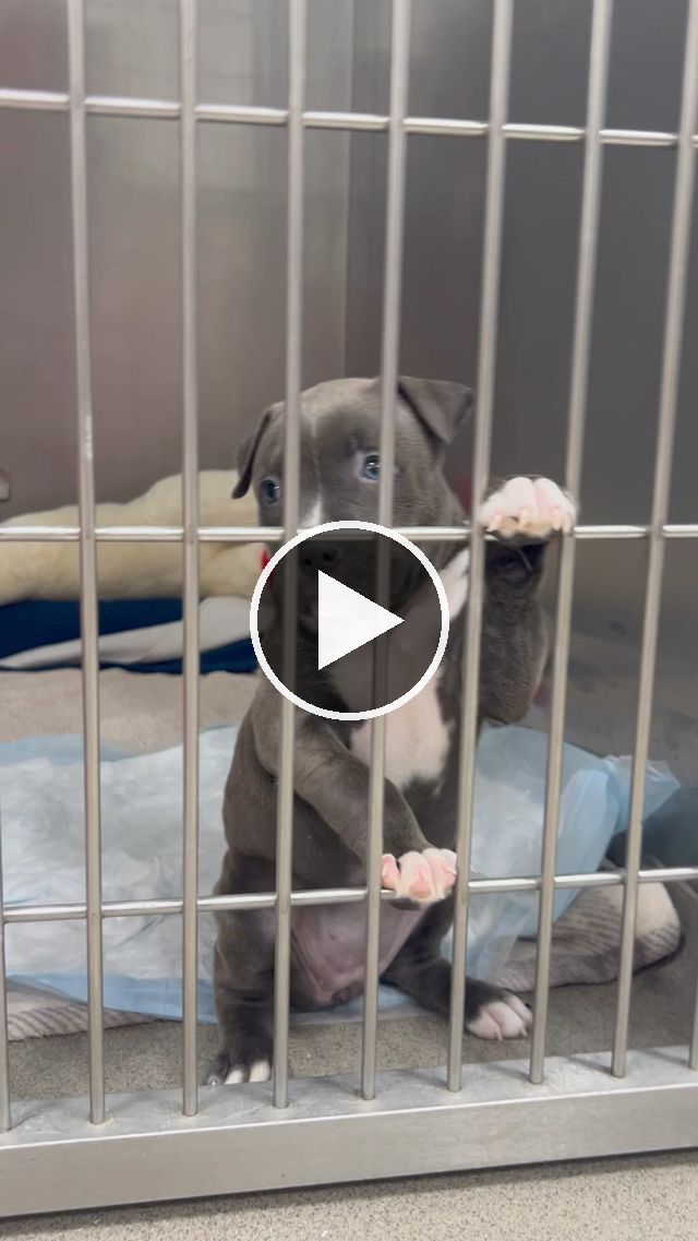 video — Jun 28 2024