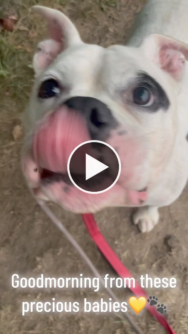 video — Aug 13 2024