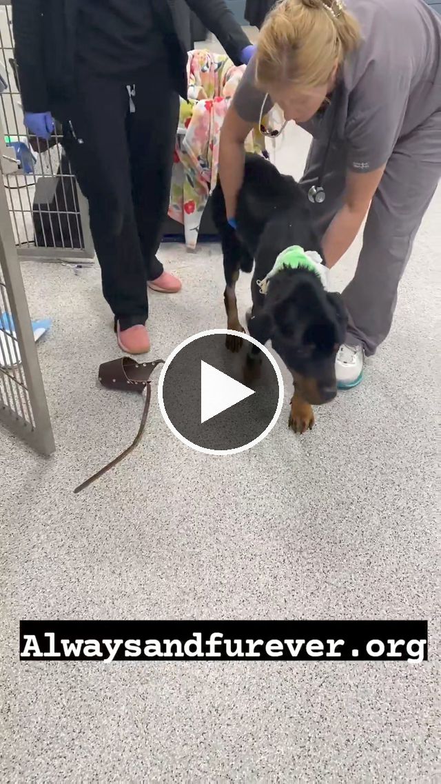 video — Aug 29–30 2024