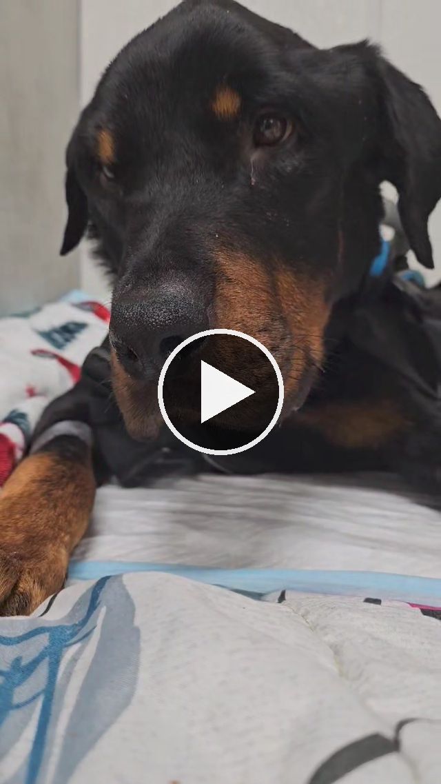 video — Sep 3–7 2024