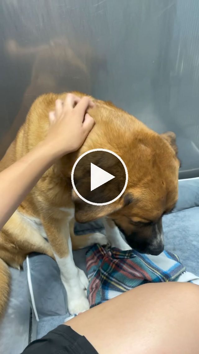 video — Sep 27 2024